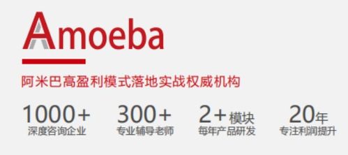 阿米巴經營 一場由比佛利管理咨詢引領的企業深度變革