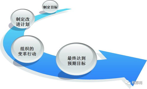 企業標桿思維與精細化管理 解鎖高效運作的新路徑